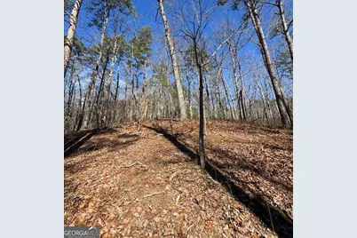 003 Rambling Road, Fairmount, GA 30139 - Photo 17