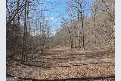 003 Rambling Road, Fairmount, GA 30139 - Photo 5