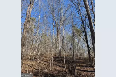 003 Rambling Road, Fairmount, GA 30139 - Photo 11