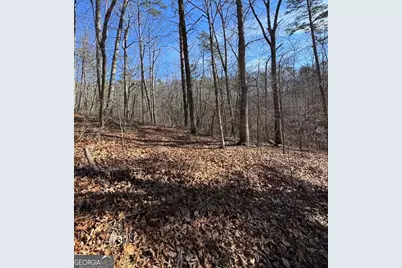 003 Rambling Road, Fairmount, GA 30139 - Photo 15