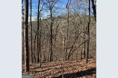 003 Rambling Road, Fairmount, GA 30139 - Photo 9