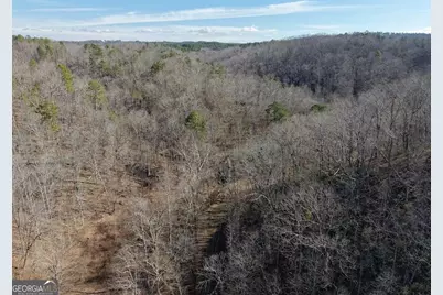 003 Rambling Road, Fairmount, GA 30139 - Photo 13