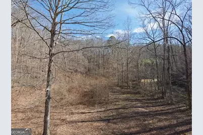 003 Rambling Road, Fairmount, GA 30139 - Photo 3