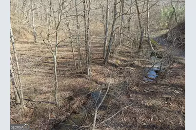 003 Rambling Road, Fairmount, GA 30139 - Photo 7