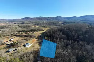 1160 Hidden Lake Rd, Blairsville, GA 30512 - Photo 41