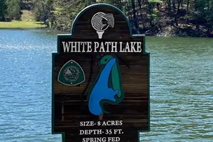 112 Seneca Dr, Ellijay, GA 30540 - Photo 31