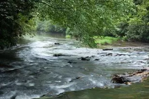 112 Seneca Dr, Ellijay, GA 30540 - Photo 29