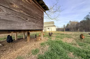 2973 River Rd, Elberton, GA 30635 - Photo 129