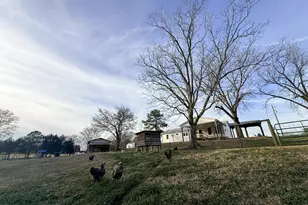 2973 River Rd, Elberton, GA 30635 - Photo 131