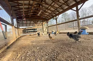 2973 River Rd, Elberton, GA 30635 - Photo 141