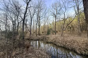 2973 River Rd, Elberton, GA 30635 - Photo 147