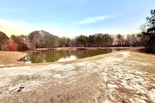 27 Loblolly Dr, Wrightsville, GA 31096 - Photo 33