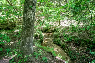 0 Wagers Mill Road #20+/- ACRES, Newnan, GA 30263 - Photo 5