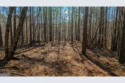 0 Wagers Mill Road #20+/- ACRES, Newnan, GA 30263 - Photo 13