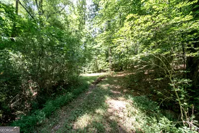 0 Wagers Mill Road #20+/- ACRES, Newnan, GA 30263 - Photo 3