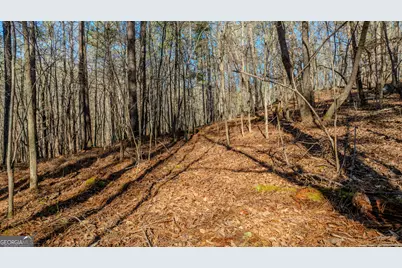 0 Wagers Mill Road #20+/- ACRES, Newnan, GA 30263 - Photo 11