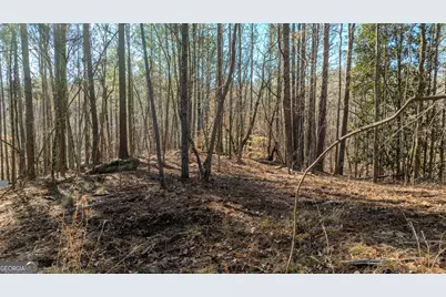0 Wagers Mill Road #20+/- ACRES, Newnan, GA 30263 - Photo 9