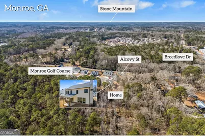 529 Mill Farm Lane, Monroe, GA 30655 - Photo 11