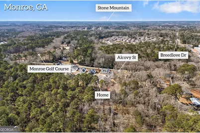 525 Mill Farm Lane, Monroe, GA 30655 - Photo 9