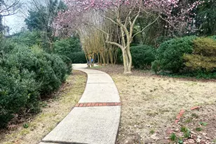 550 S Hill St, Griffin, GA 30224 - Photo 69