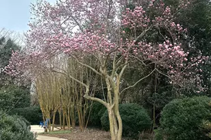 550 S Hill St, Griffin, GA 30224 - Photo 75