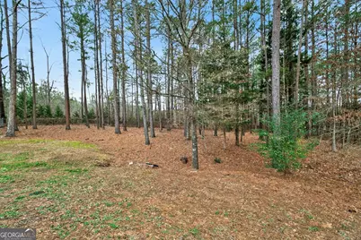 10 Susanne Court SW, Rome, GA 30165 - Photo 49