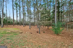 10 Susanne Ct SW, Rome, GA 30165 - Photo 49