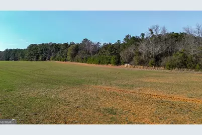 721 Thrasher Road, White Plains, GA 31780 - Photo 25