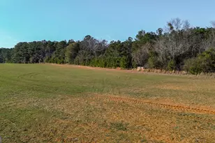 721 Thrasher Rd, White Plains, GA 31780 - Photo 25