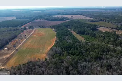 721 Thrasher Road, White Plains, GA 31780 - Photo 3