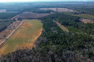 721 Thrasher Rd, White Plains, GA 31780 - Photo 3