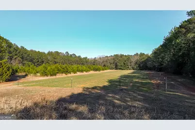 721 Thrasher Road, White Plains, GA 31780 - Photo 23