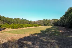 721 Thrasher Rd, White Plains, GA 31780 - Photo 23