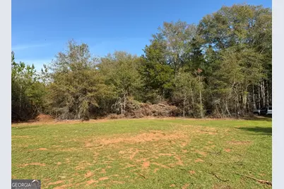 004 Hwy 45, White Plains, GA 31870 - Photo 5