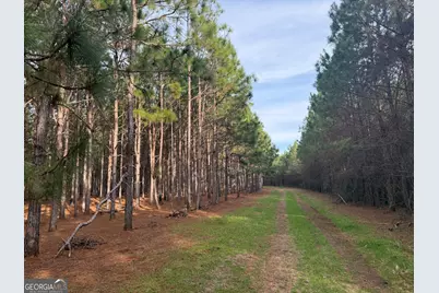 004 Hwy 45, White Plains, GA 31870 - Photo 7