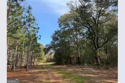 004 Hwy 45, White Plains, GA 31870 - Photo 1