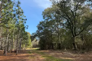 004 Hwy 45, White Plains, GA 31870 - Photo 1