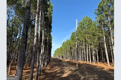 004 Hwy 45, White Plains, GA 31870 - Photo 3