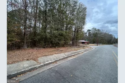 W Williams St, Montezuma, GA 31063 - Photo 5