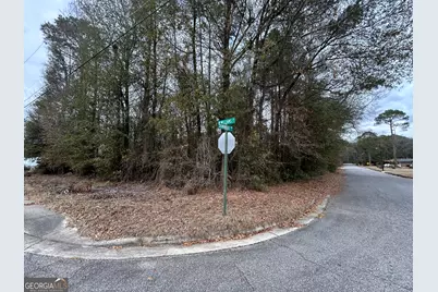 W Williams St, Montezuma, GA 31063 - Photo 1