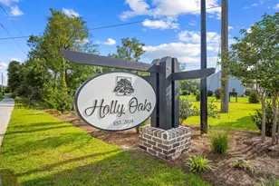 311 Flax St, Statesboro, GA 30461 - Photo 43
