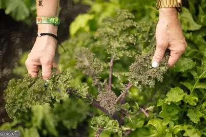 1570 Club Drive, Greensboro, GA 30642 - Photo 65