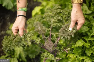 1570 Club Dr, Greensboro, GA 30642 - Photo 65