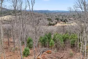 574 Winding Ridge, Blairsville, GA 30512 - Photo 83