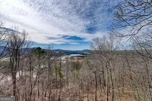 343 Dan Knob, Hayesville, NC 28904 - Photo 45