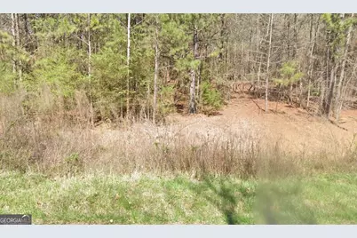 387 Michael Boulevard, Cedartown, GA 30125 - Photo 3