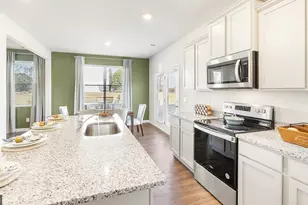 169 Lauritsen Way, Newnan, GA 30265 - Photo 9