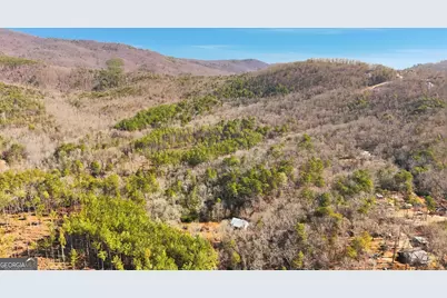 416 Liberty Creek Drive, Clarkesville, GA 30523 - Photo 53