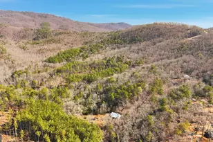 416 Liberty Creek Dr, Clarkesville, GA 30523 - Photo 53