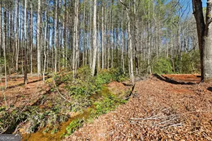 416 Liberty Creek Dr, Clarkesville, GA 30523 - Photo 43